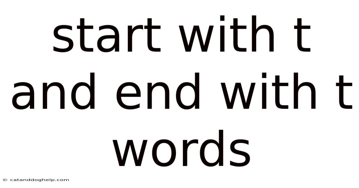 Start With T And End With T Words