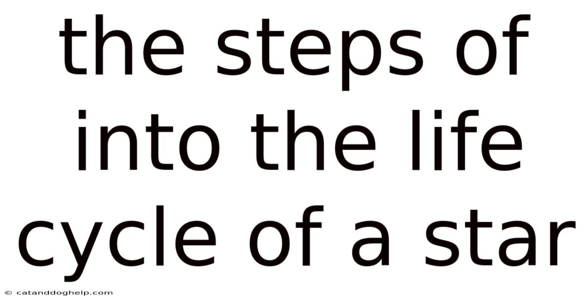 The Steps Of Into The Life Cycle Of A Star