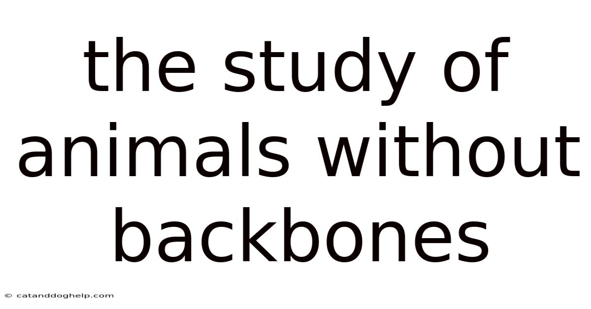 The Study Of Animals Without Backbones