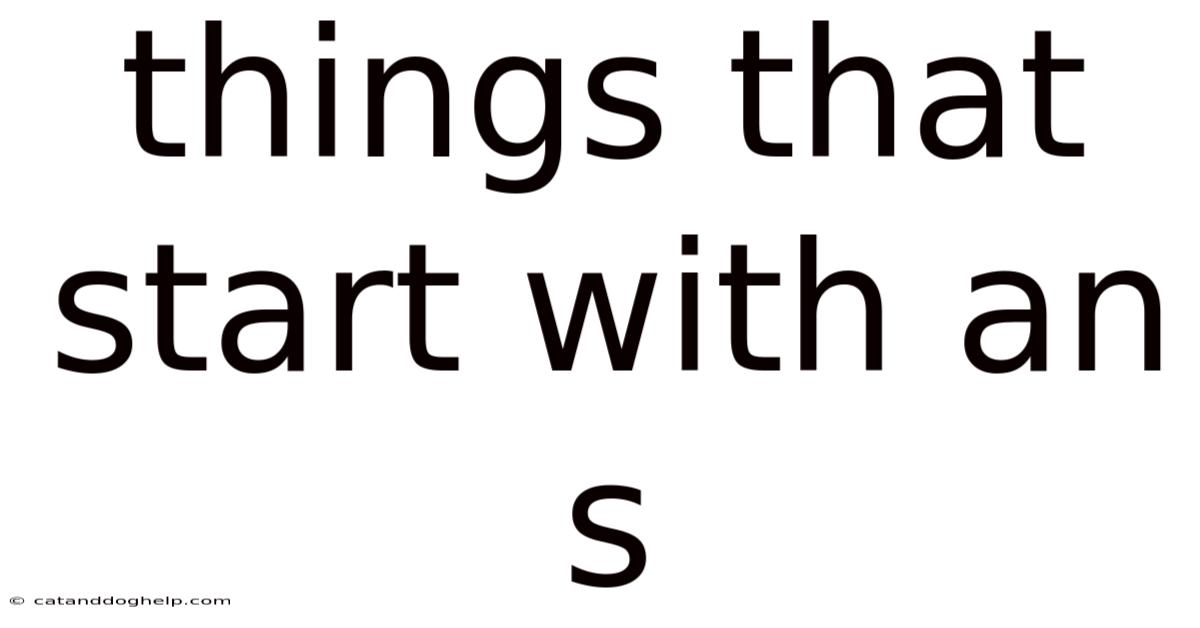 Things That Start With An S