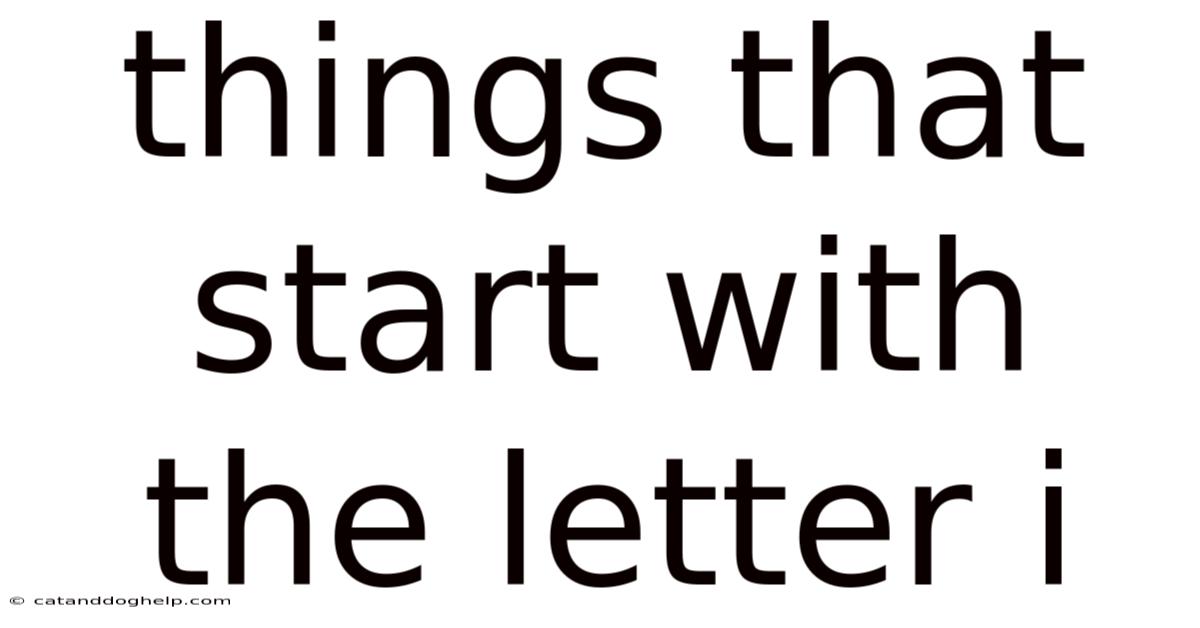 Things That Start With The Letter I