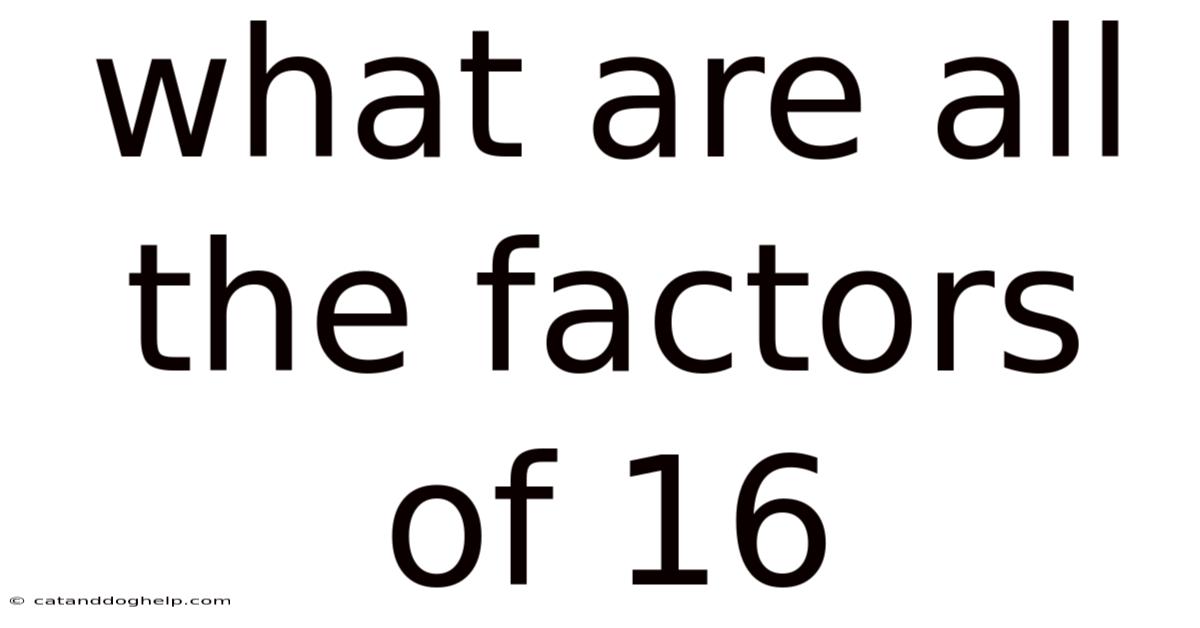 What Are All The Factors Of 16