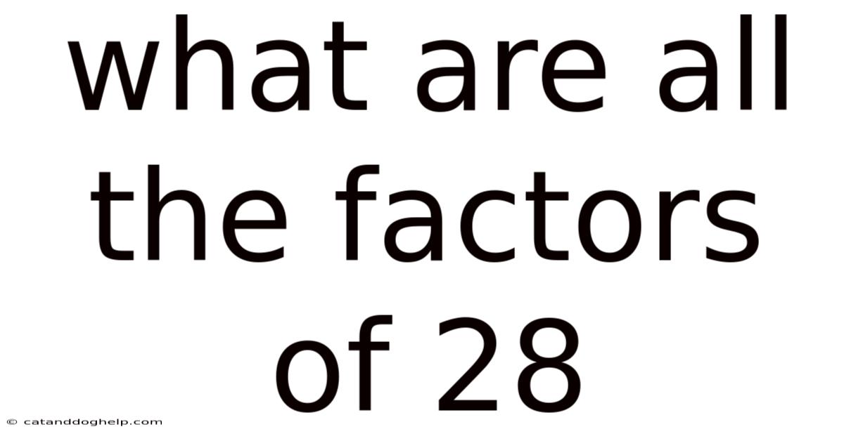 What Are All The Factors Of 28