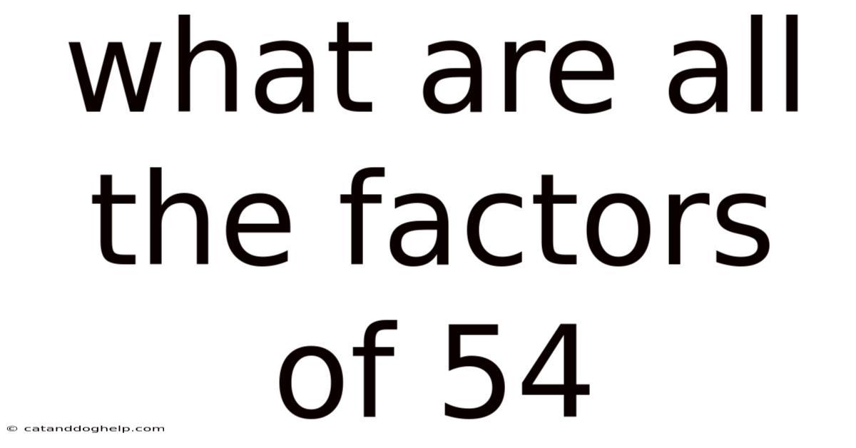 What Are All The Factors Of 54