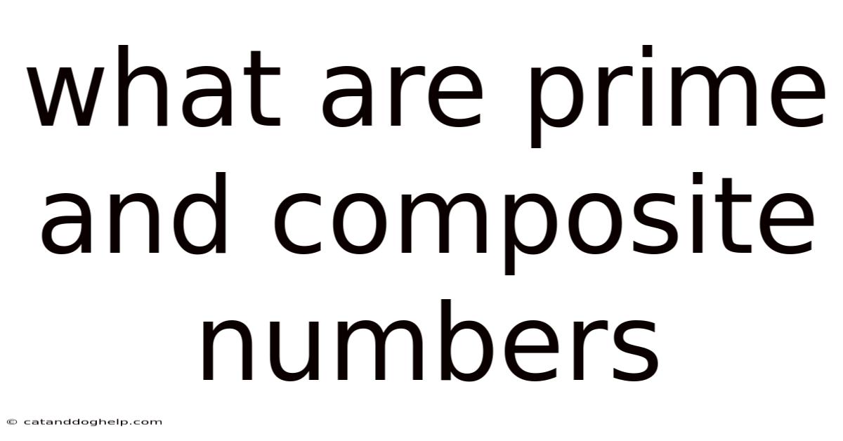 What Are Prime And Composite Numbers
