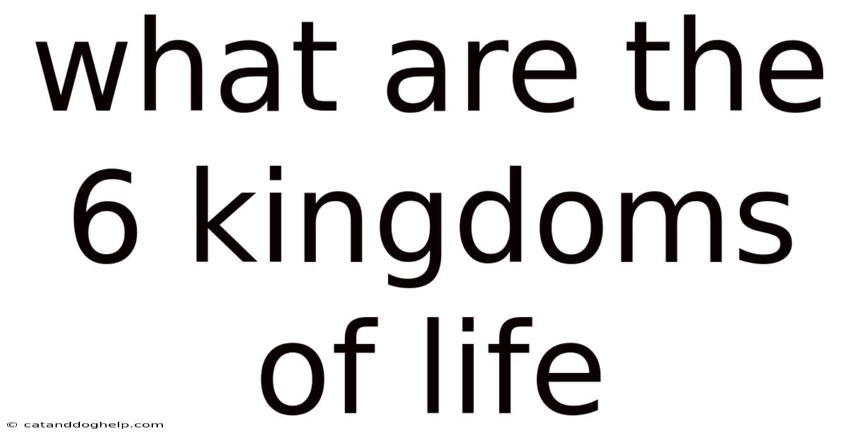 What Are The 6 Kingdoms Of Life