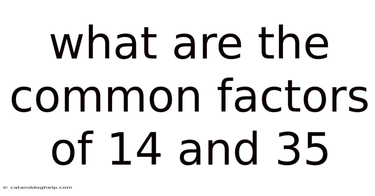 What Are The Common Factors Of 14 And 35