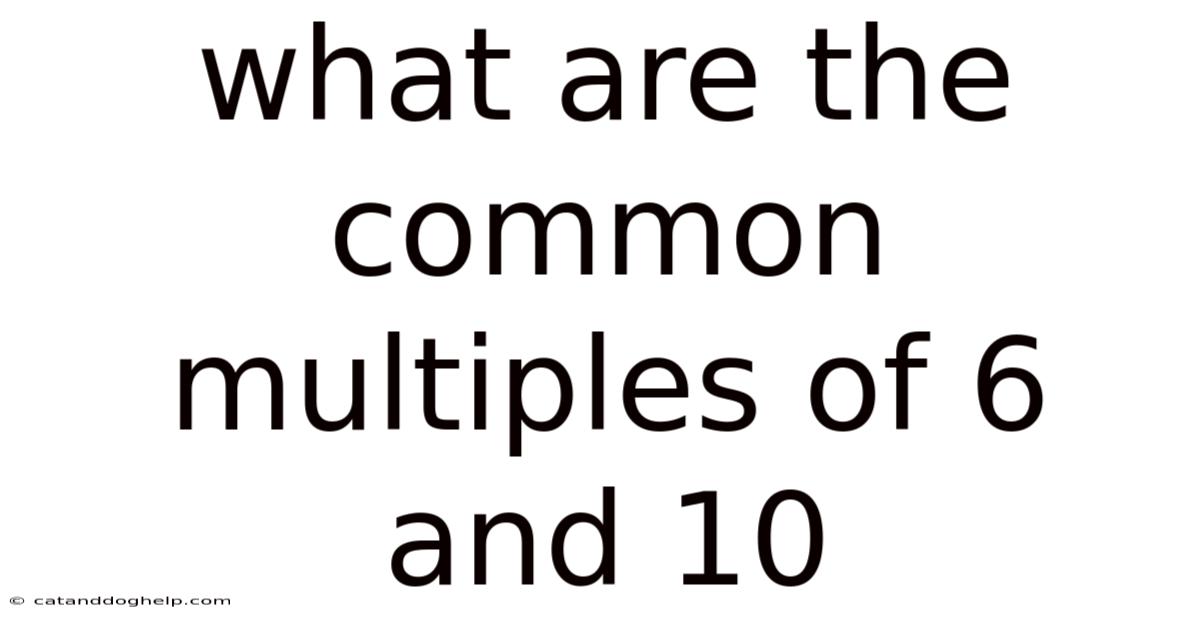 What Are The Common Multiples Of 6 And 10