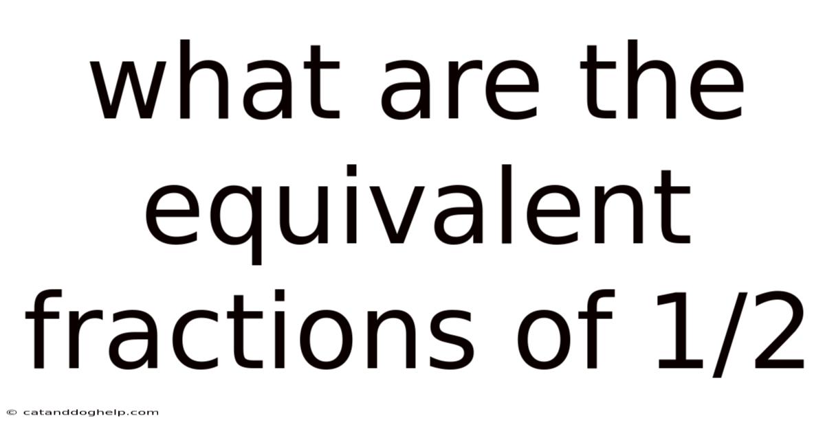 What Are The Equivalent Fractions Of 1/2