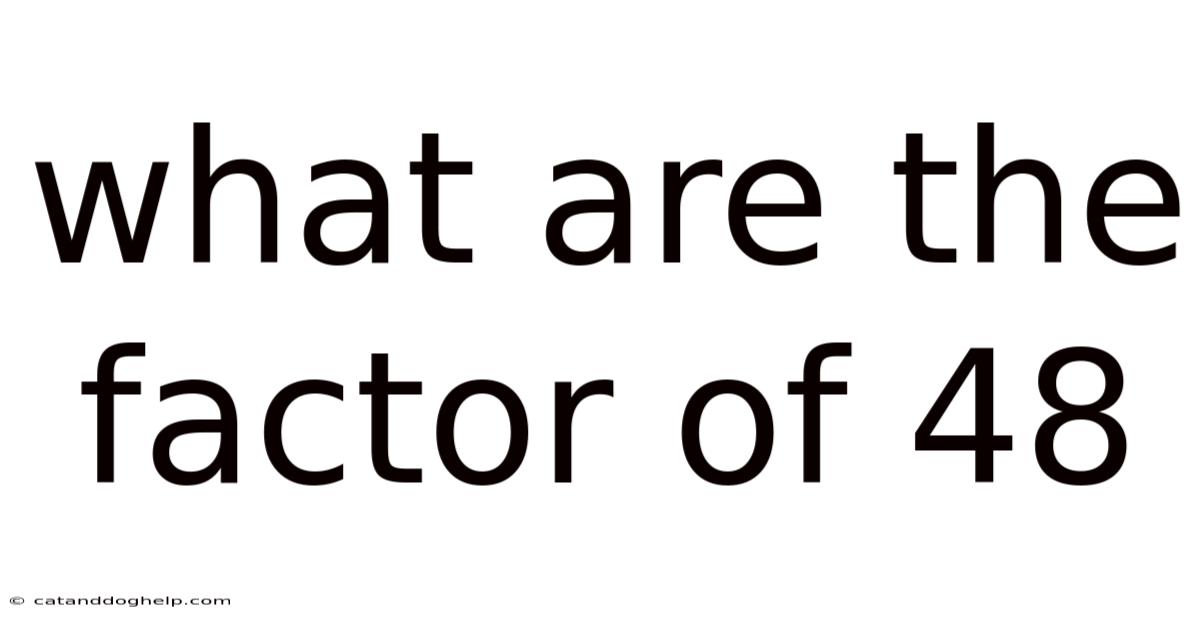 What Are The Factor Of 48
