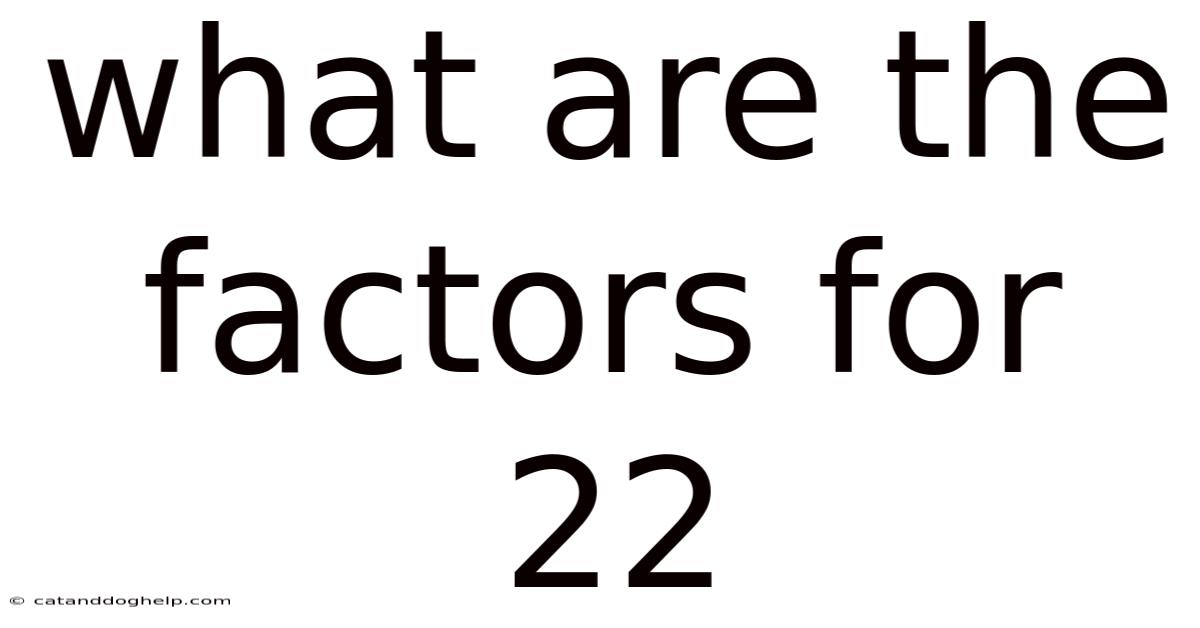 What Are The Factors For 22