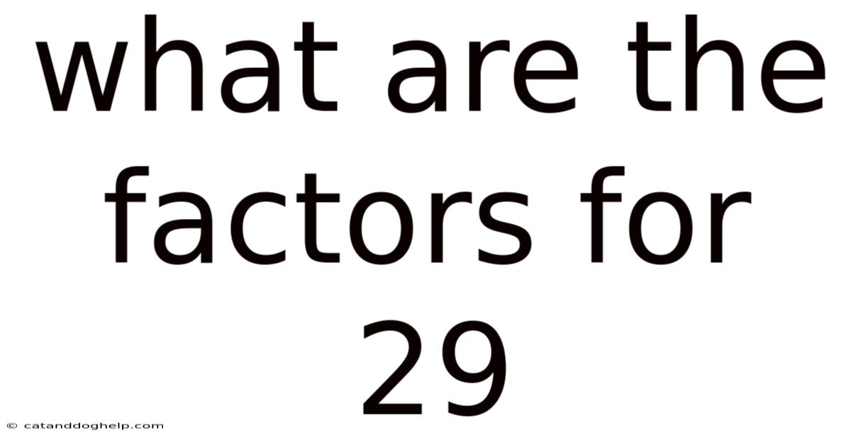 What Are The Factors For 29