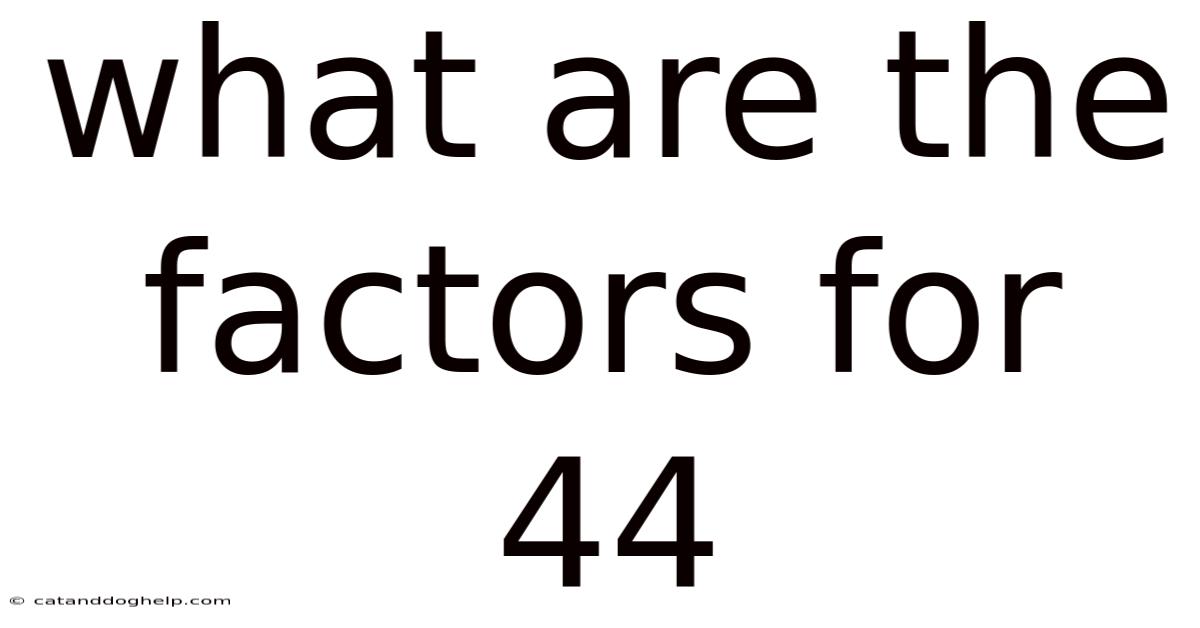 What Are The Factors For 44