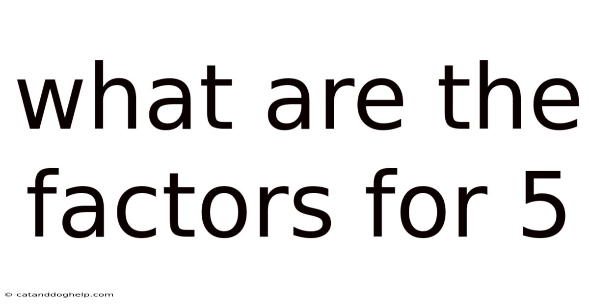 What Are The Factors For 5