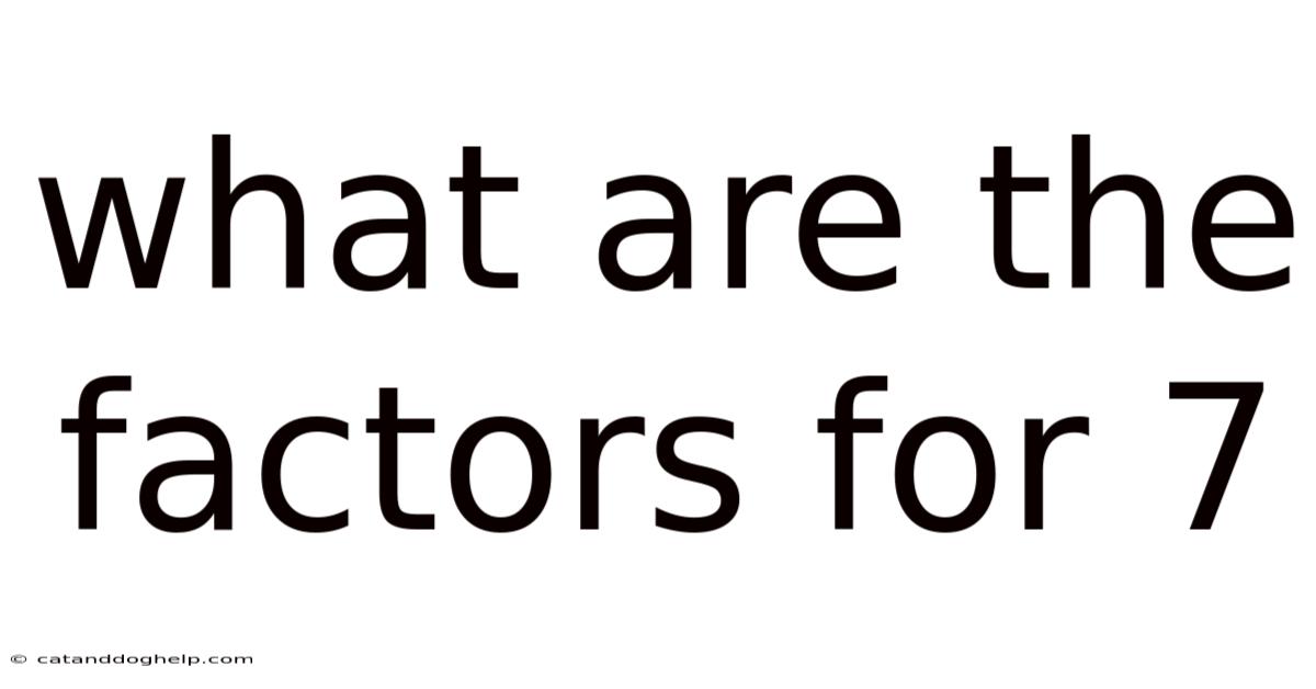 What Are The Factors For 7