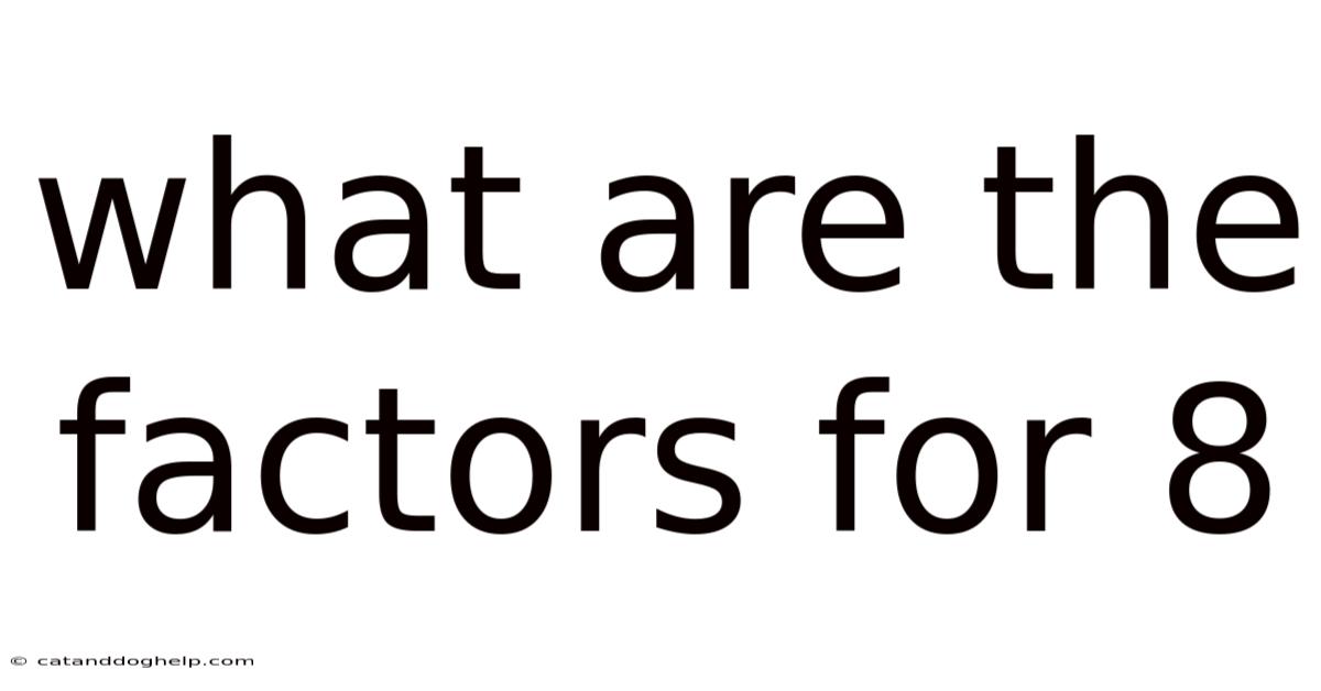 What Are The Factors For 8