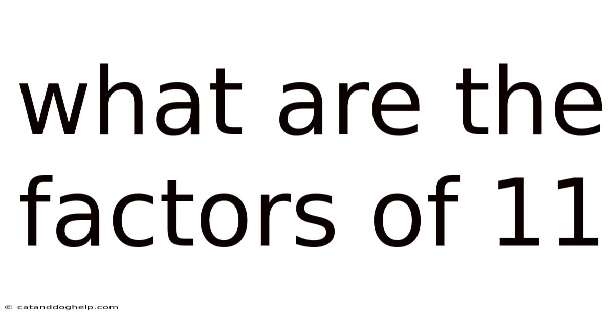 What Are The Factors Of 11