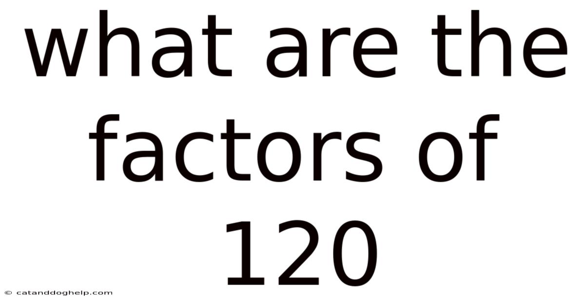 What Are The Factors Of 120