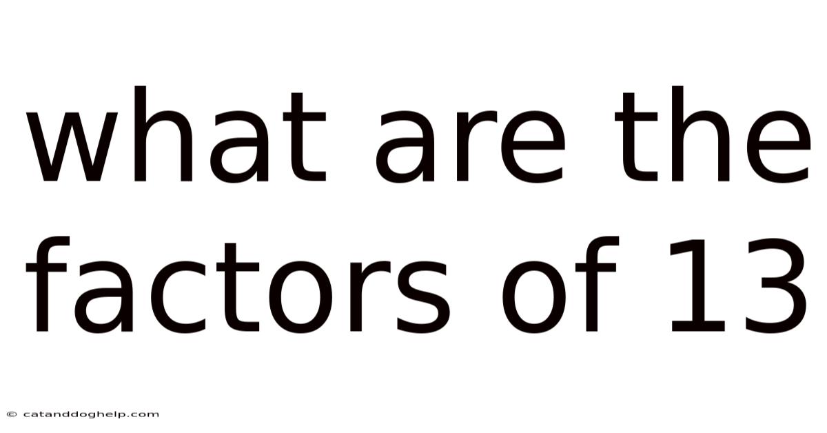 What Are The Factors Of 13