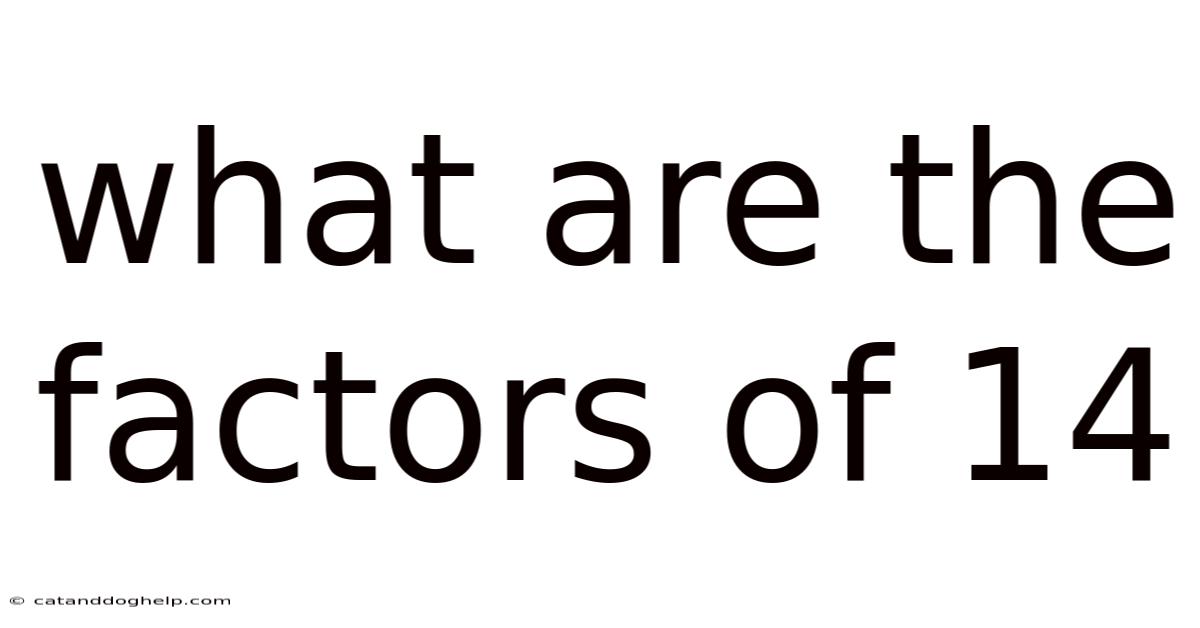 What Are The Factors Of 14