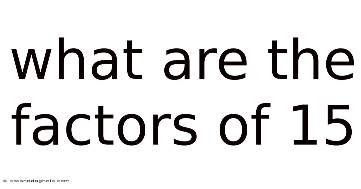 What Are The Factors Of 15