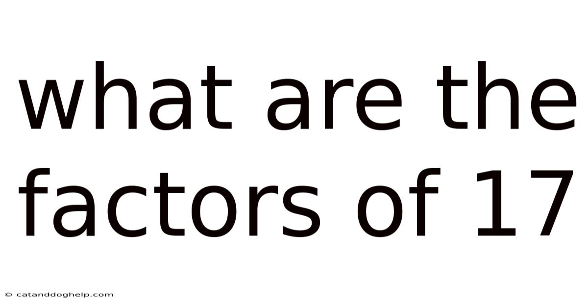 What Are The Factors Of 17