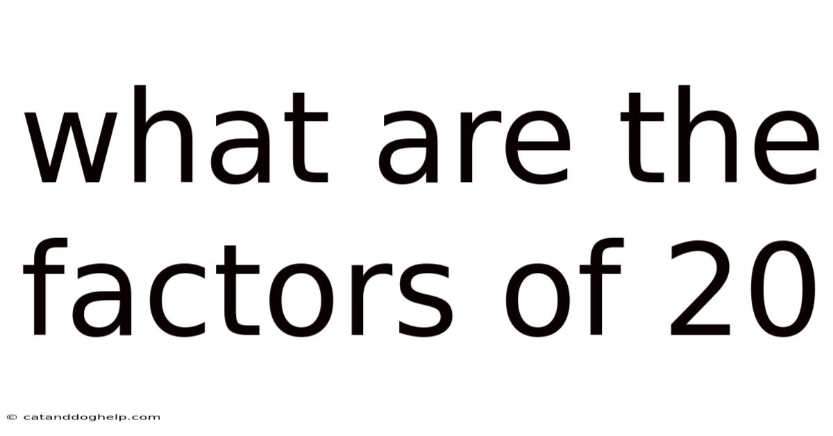 What Are The Factors Of 20