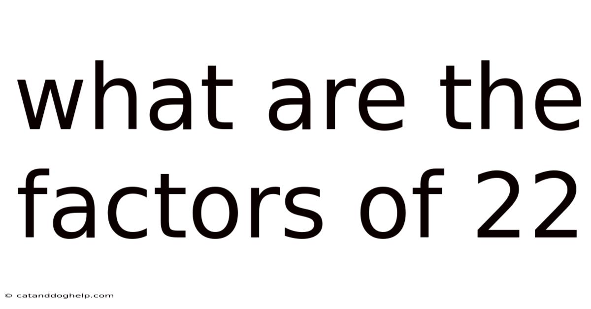 What Are The Factors Of 22