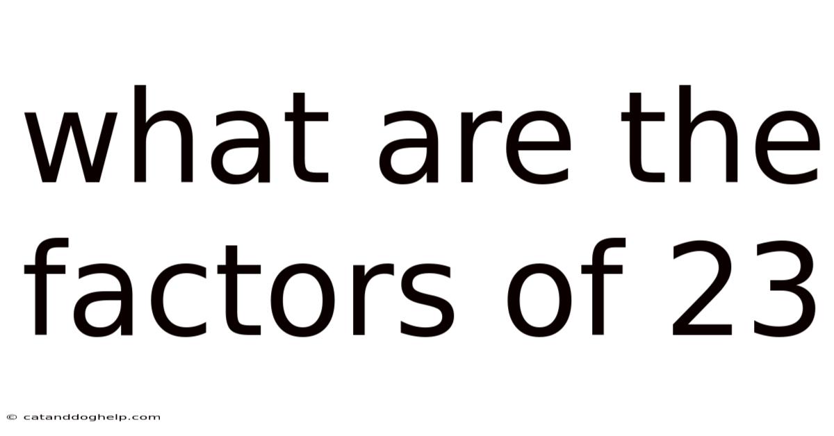 What Are The Factors Of 23