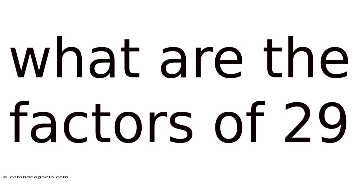 What Are The Factors Of 29