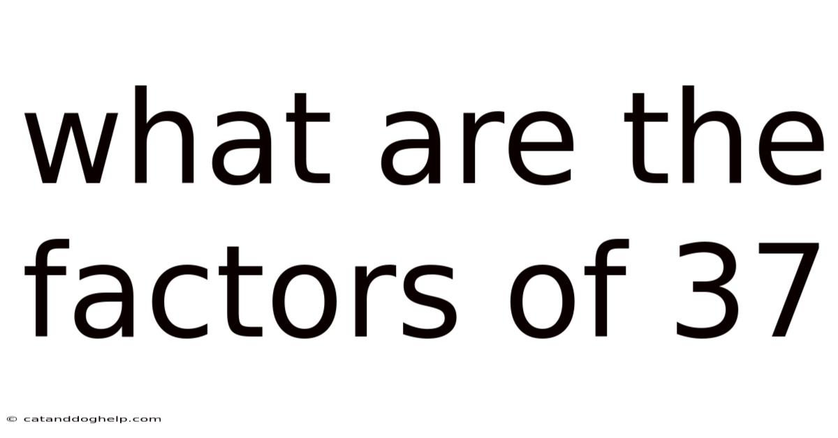 What Are The Factors Of 37