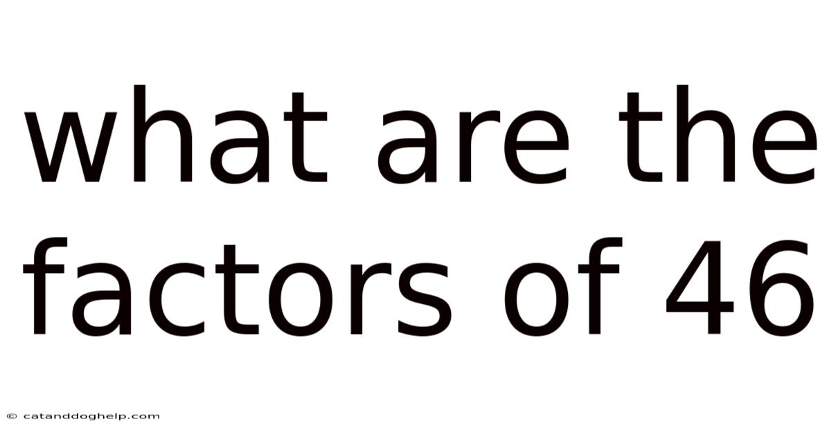 What Are The Factors Of 46