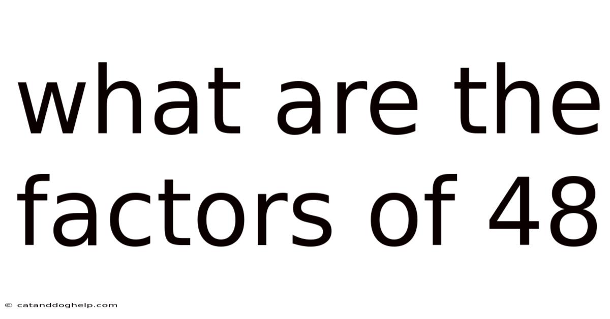 What Are The Factors Of 48