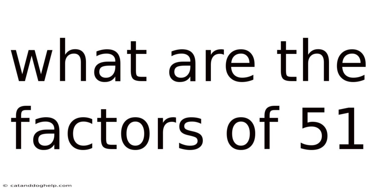 What Are The Factors Of 51
