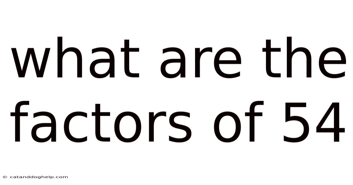 What Are The Factors Of 54