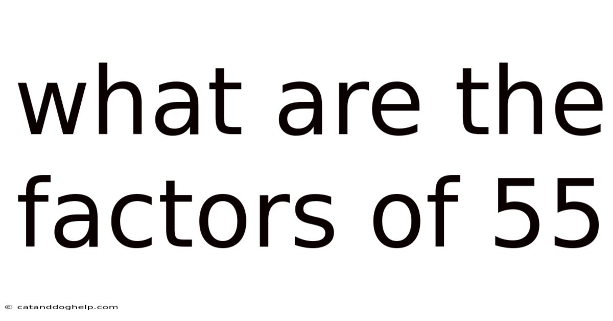 What Are The Factors Of 55