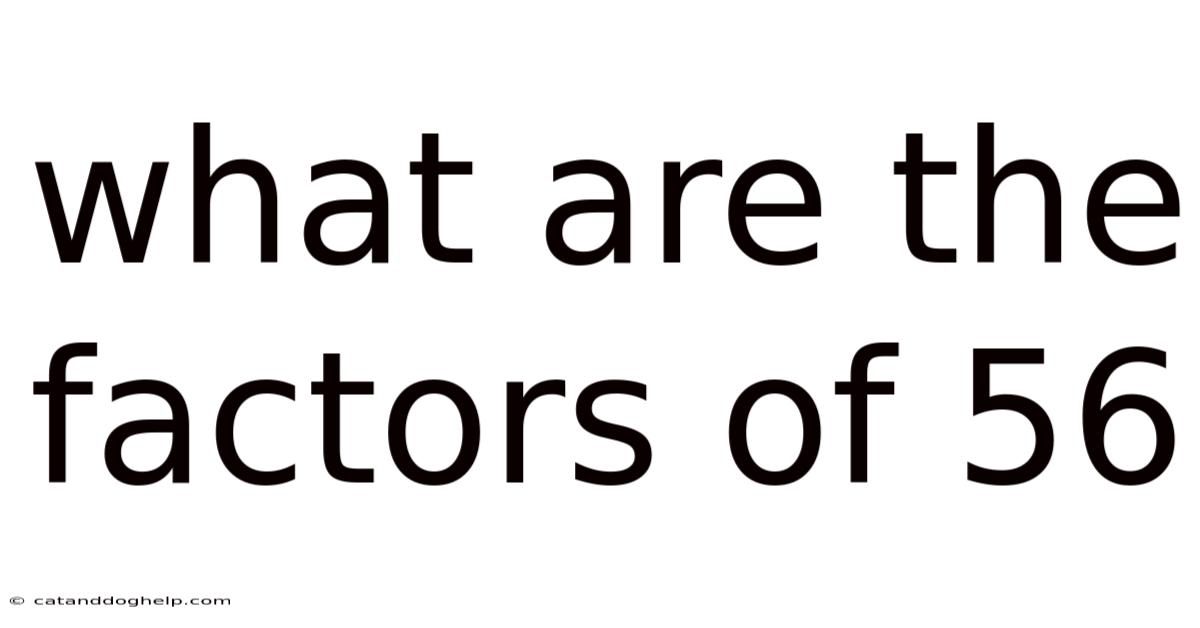 What Are The Factors Of 56