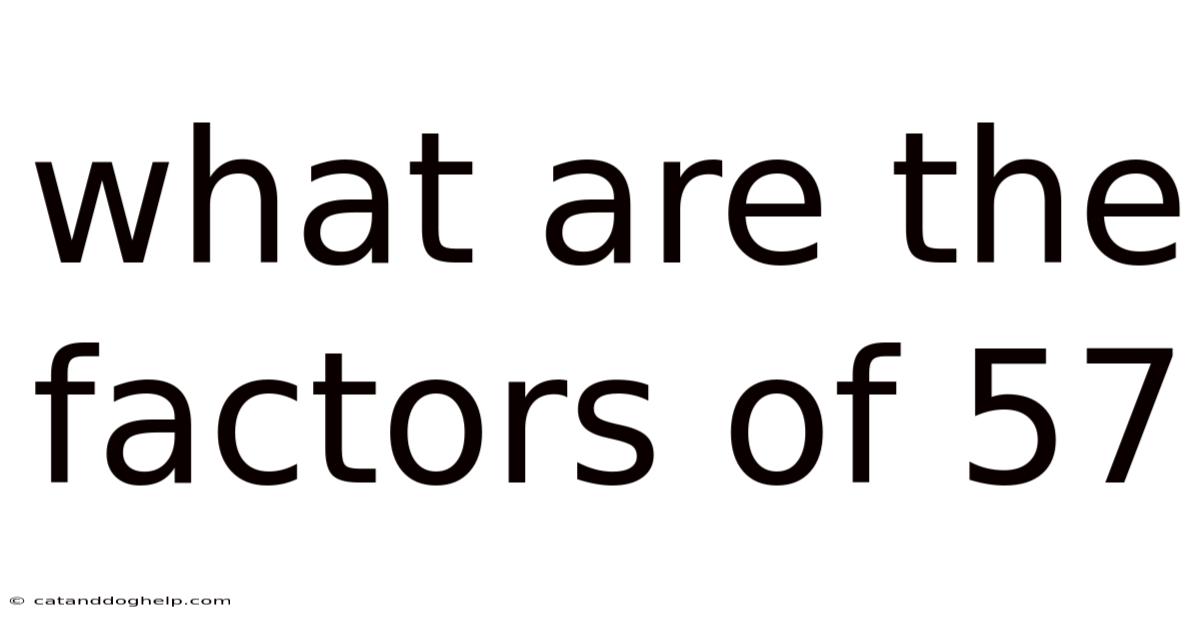 What Are The Factors Of 57
