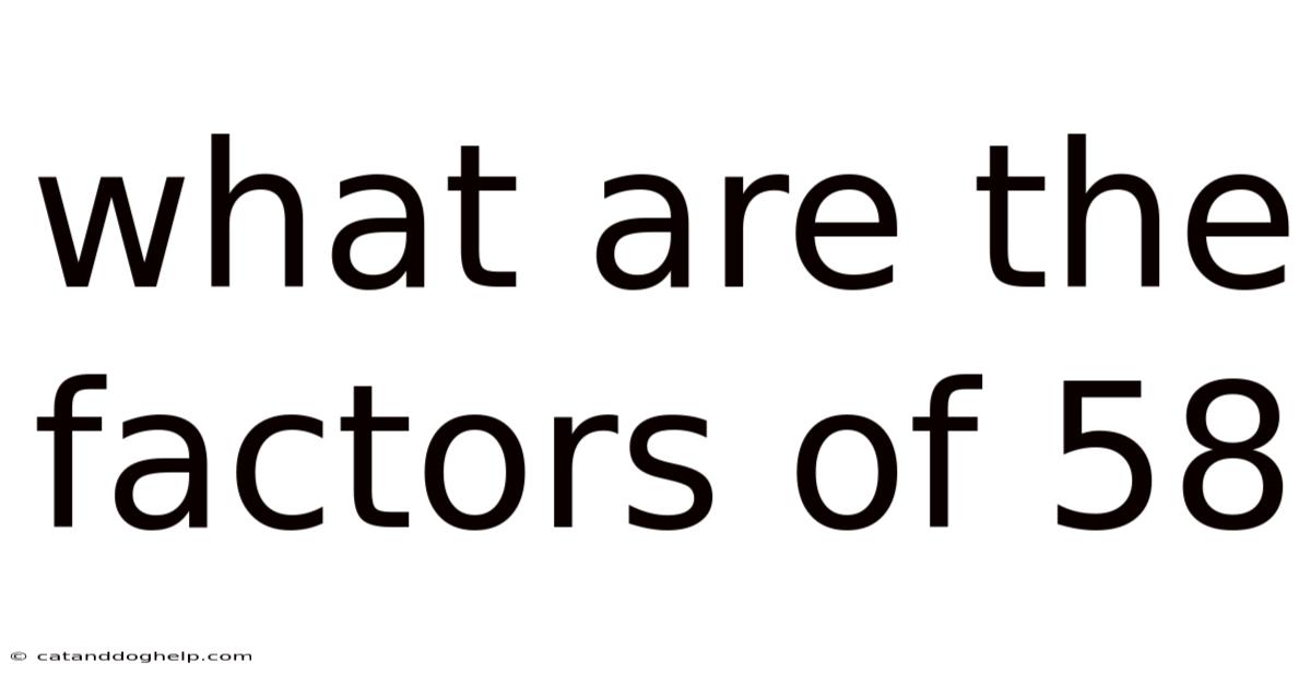What Are The Factors Of 58