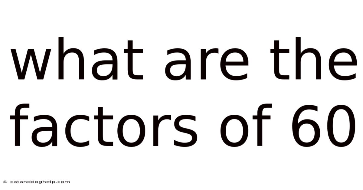 What Are The Factors Of 60