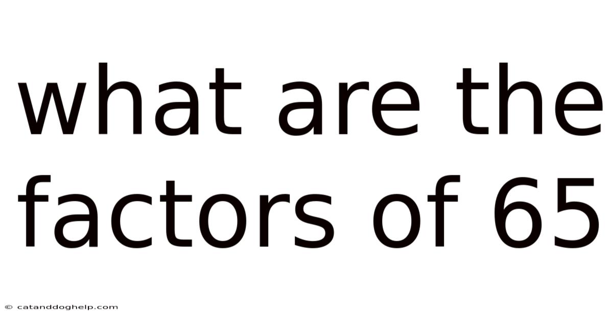 What Are The Factors Of 65