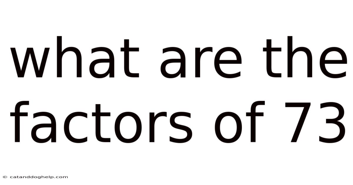 What Are The Factors Of 73