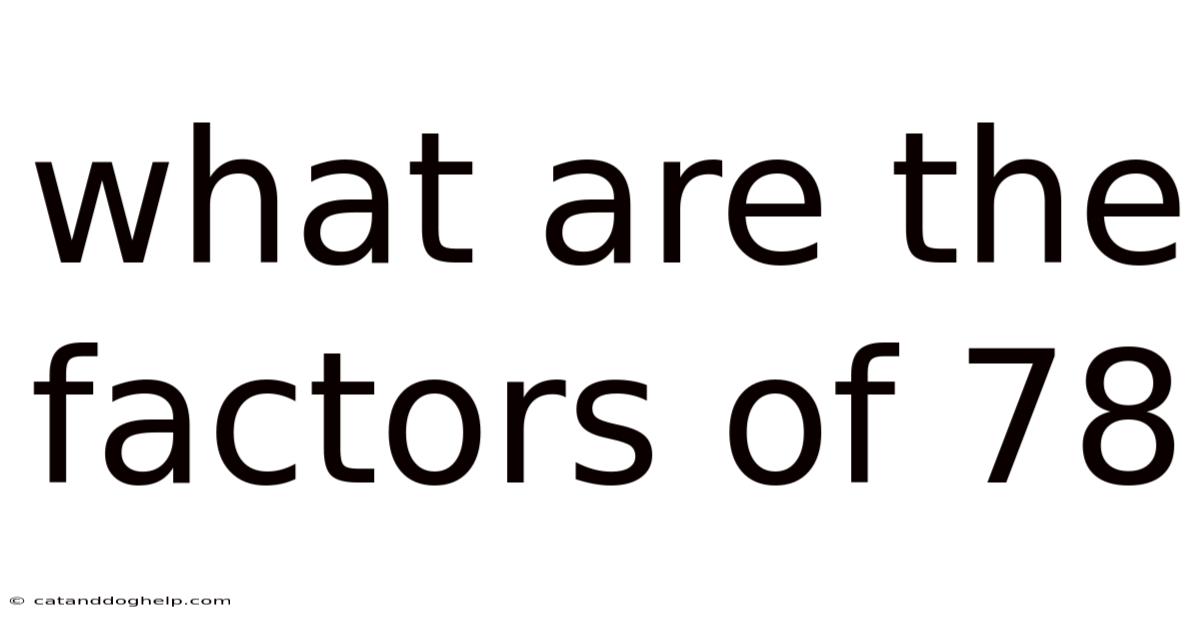 What Are The Factors Of 78