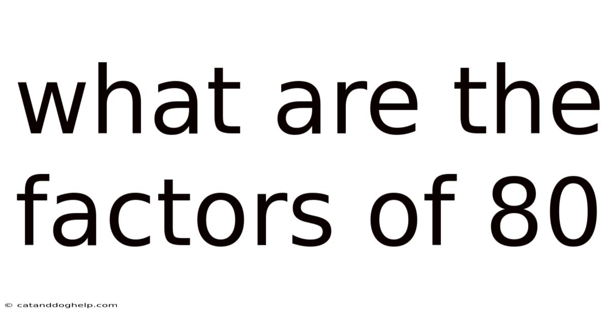 What Are The Factors Of 80