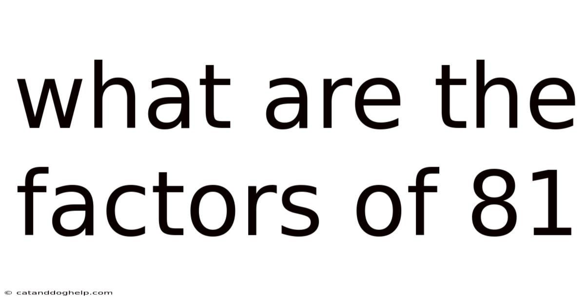 What Are The Factors Of 81