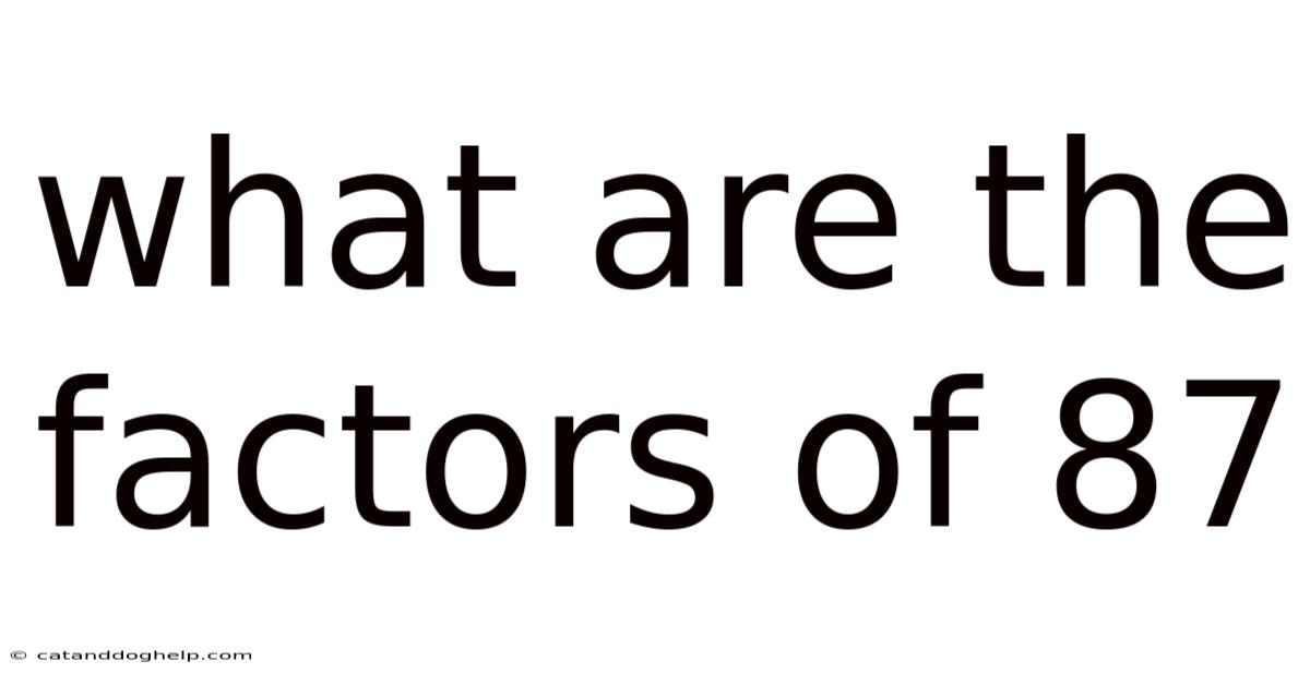 What Are The Factors Of 87