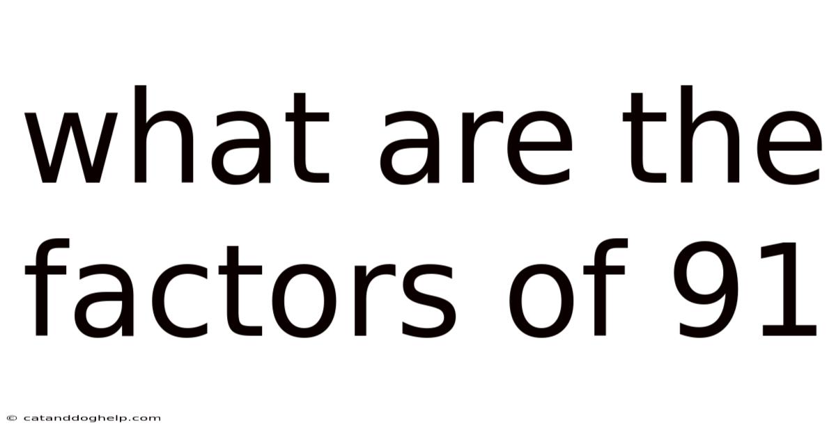 What Are The Factors Of 91