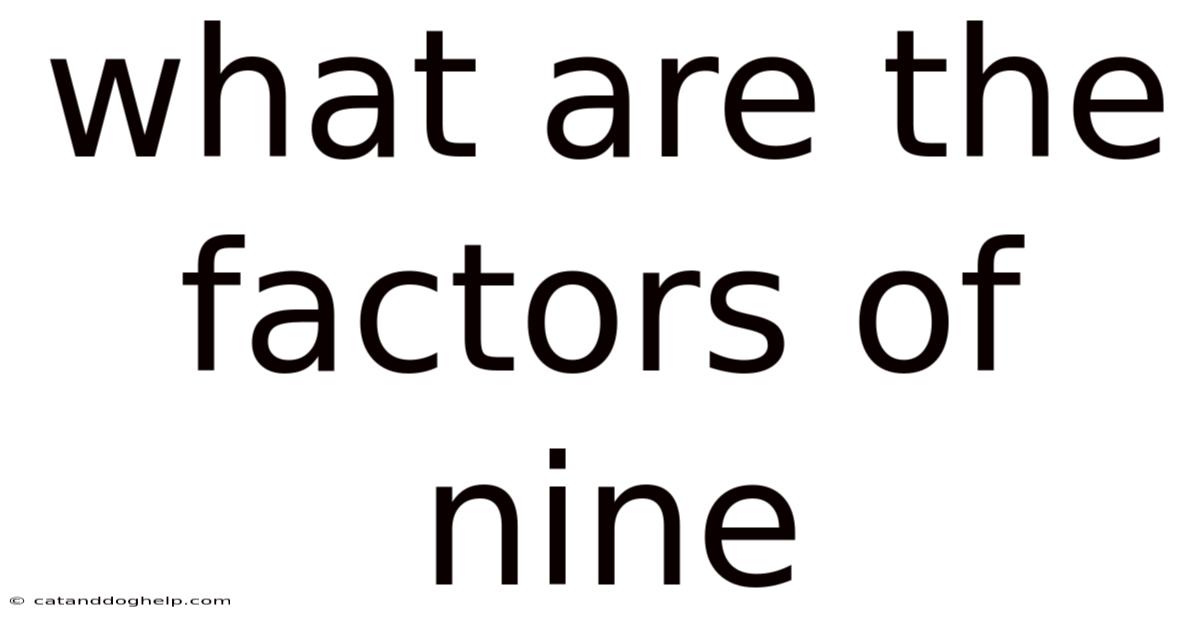What Are The Factors Of Nine