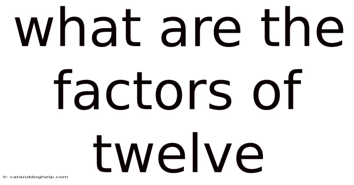 What Are The Factors Of Twelve
