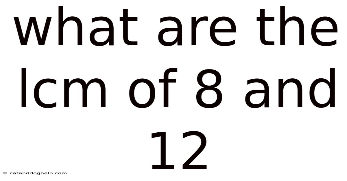 What Are The Lcm Of 8 And 12